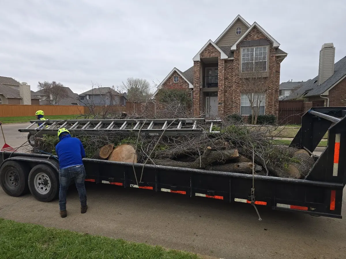 Expert Lot Clearing with proper safety equipment in Wellington